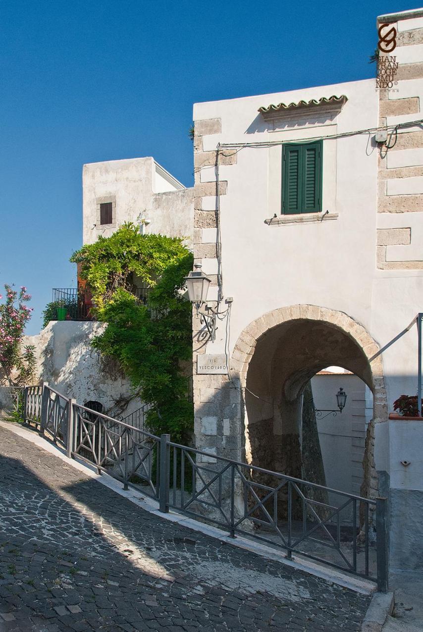 לינה וארוחת בוקר ויאסטה Torre La Mezzaluna מראה חיצוני תמונה